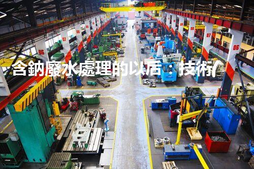 含鈉廢水處理的以后：技術(shù)革新與環(huán)保挑戰(zhàn)！